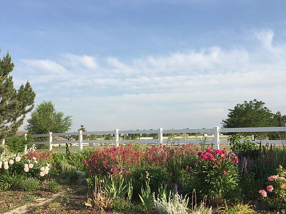 perennial flower bed