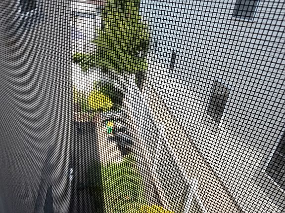 Designated space for tenant maintained shared communal herb or vegetable garden.