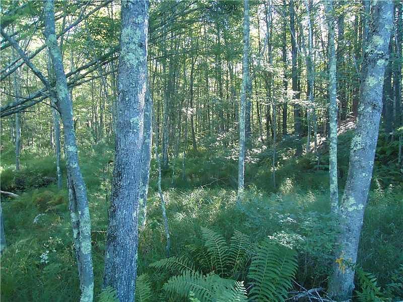 2nd image of 0000 Old County Road