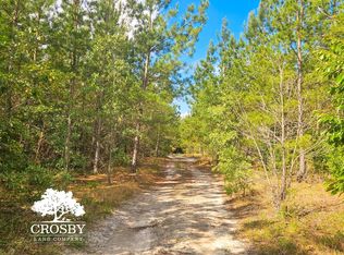 Pleasant Home Rd, Blackville, SC 29817