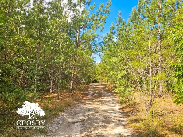 Pleasant Home Rd, Blackville, SC 29817