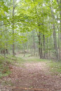 3/ACRE S Frank Smith Rd, Chase, MI, 49623