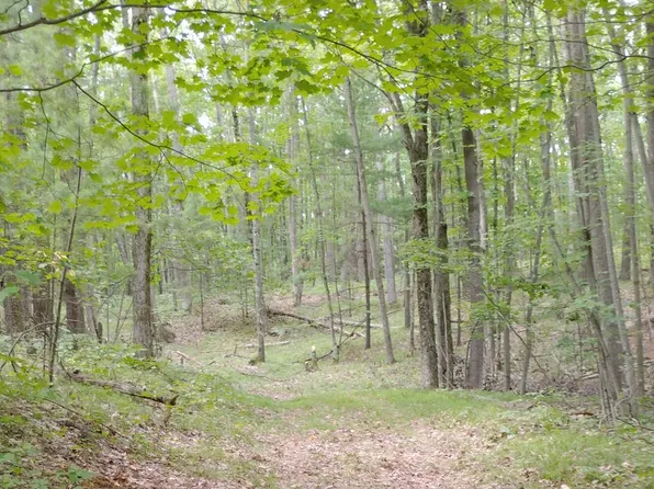 3/ACRE S Frank Smith Rd, Chase, MI 49623