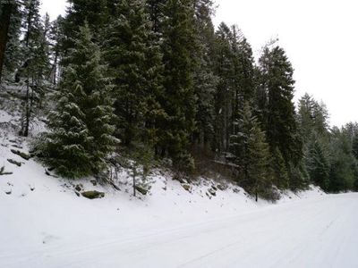 Spring Valley Rd, Newport, WA, 99156