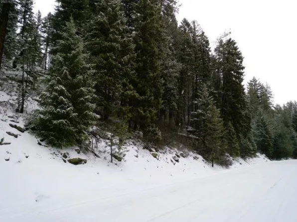 Spring Valley Rd, Newport, WA 99156