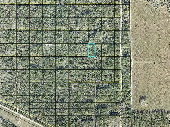 LT 1013 OLSON STREET, HASTINGS, FL 32145