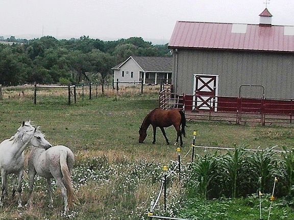 View of the barn from backyd