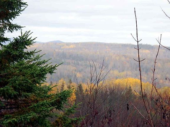 3rd image of Lot 16-B Maine 11