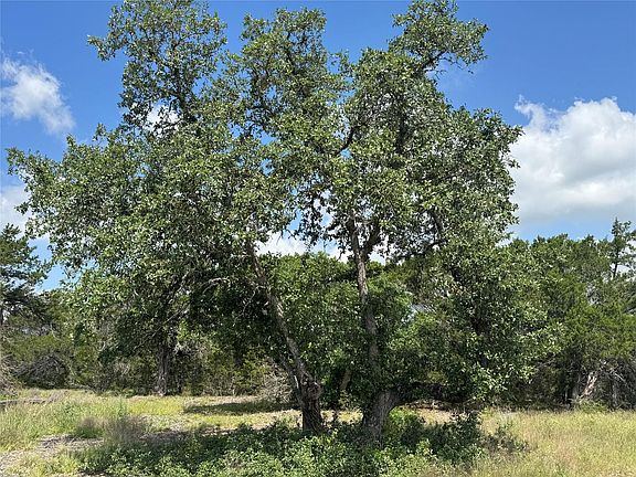 2nd image of LOT 37 Riparian Elm Rd