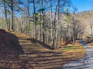 15 Beech Tree Ln, Asheville, NC 28804