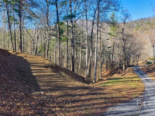 15 Beech Tree Ln, Asheville, NC 28804