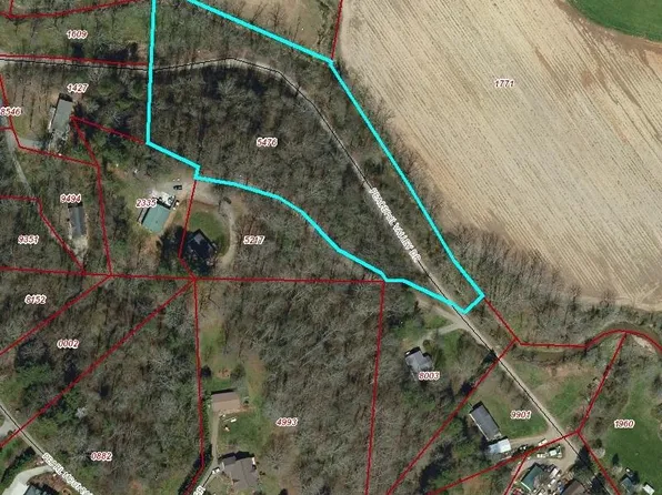 Peaceful Valley Dr, Leicester, NC 28748