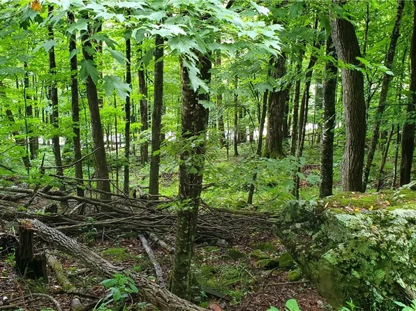lot 81 Throncliff Drive, Seven Devils, NC 28607