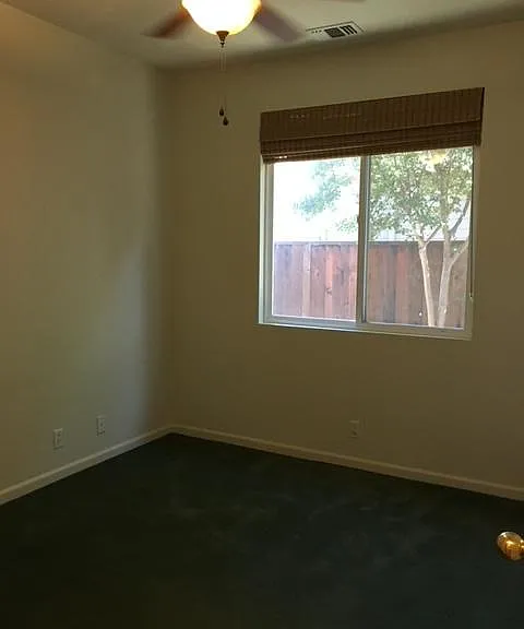 604 Snapdragon Ct — Photo 13