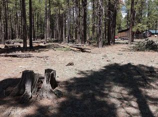 1581 N Kings Dell Dr, Parks, AZ 86018