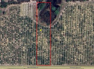 Mammoth Grove Rd LOT 6, Lake Wales, FL 33898
