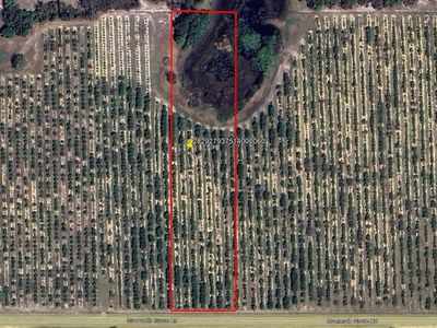 MAMMOTH GROVE ROAD LOT 6, Lake Wales, FL, 33898