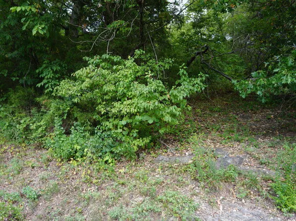 Lot 27 Cannon Ball Loop, Branson, MO 65616