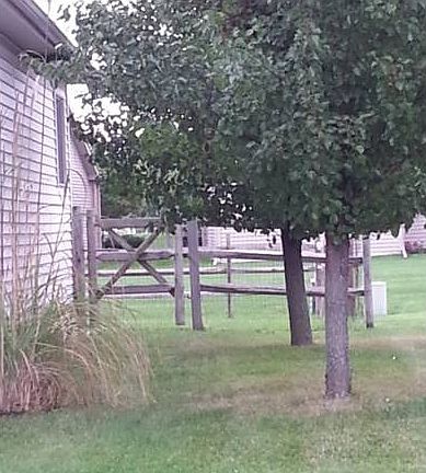 5th image of 26578 Woodmont Dr