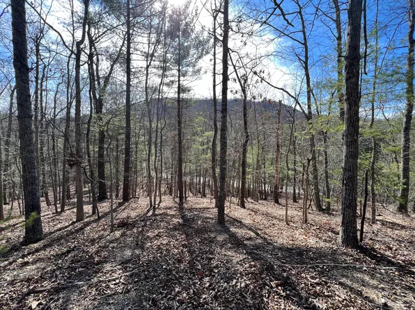 0 Catawba Valley Dr, Catawba, VA 24070