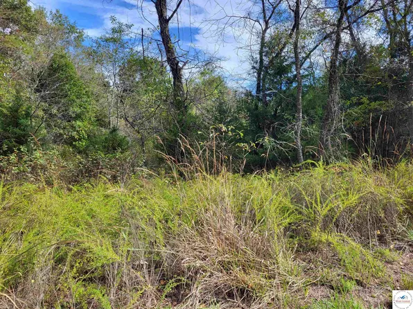 Bell Pl, Edwards, MO 65326