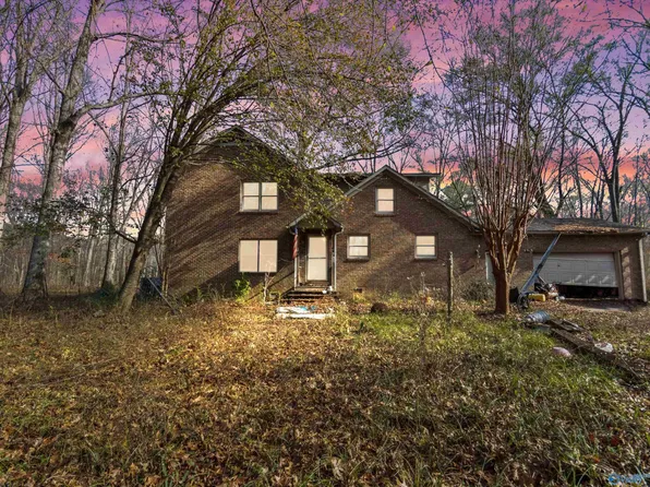 990 Cotaco Florette Rd, Somerville, AL 35670