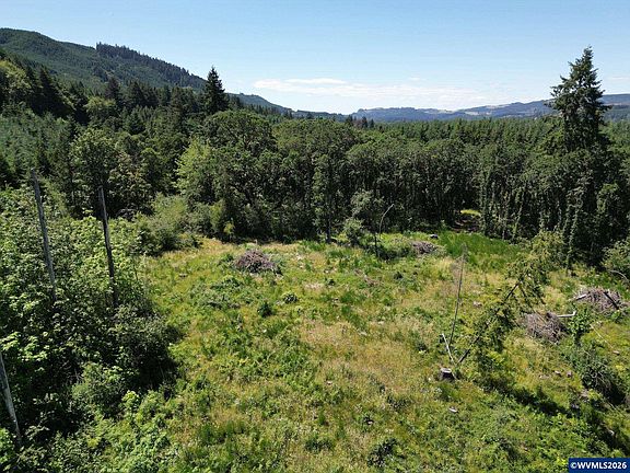 4th image of Tl 2702 & 2703 S Cedar Mill Rd
