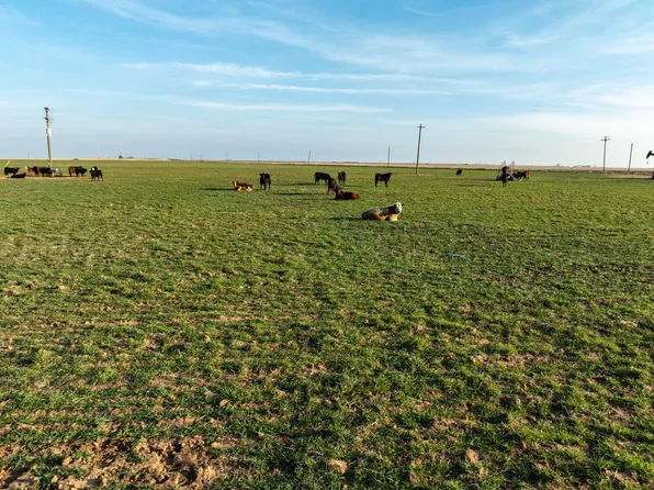 County Road Obrien, O'Brien, TX 79539