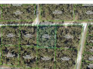 0 Haas Dr, Webster, FL 33597