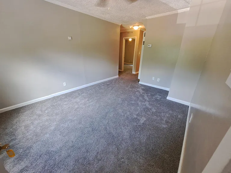 705 Alexander St #1 — Photo 5