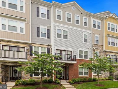 41989 White Mills Ter, Aldie, VA, 20105