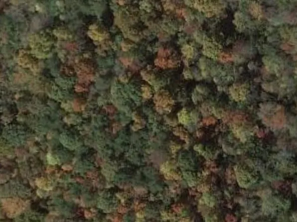 9999 Hazel Fork Rd #9999, Corbin, KY 40701