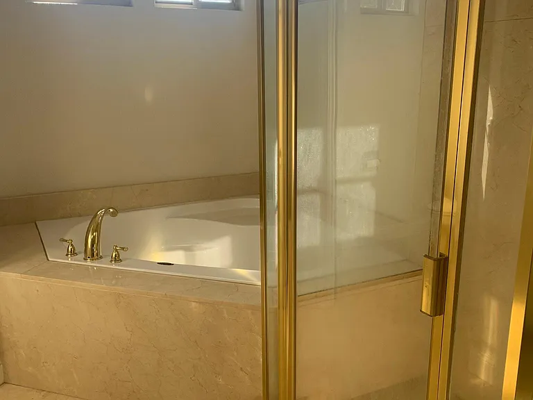 Master bath shower and soaking tub