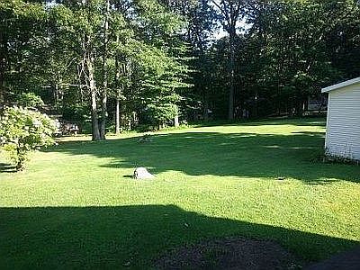 well maintained back lawn
