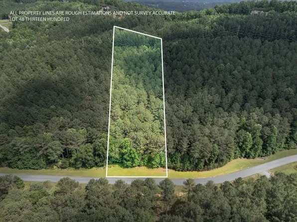 LT48 1300th, Blairsville, GA 30512
