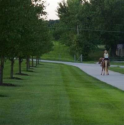 5th image of 4275 S Paint Horse Ln