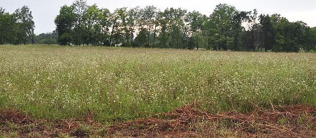 1st image of 101 Cassidy Dr Lot 2