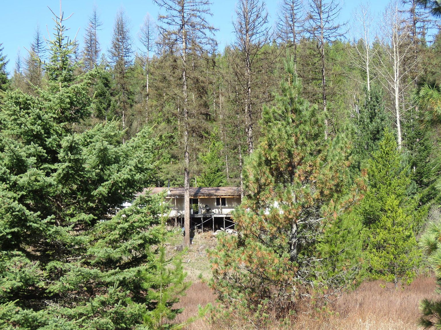 18134 Yaak River Rd, Troy, MT 59935 Zillow
