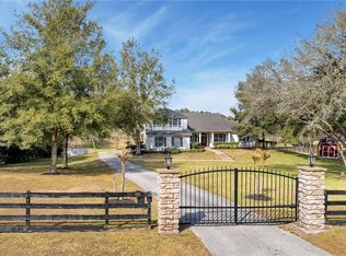 32129 Wolf Branch Ln, Sorrento, FL 32776