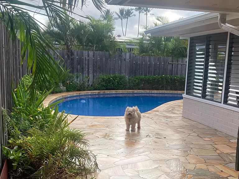 71 Aikahi Loop — Photo 29
