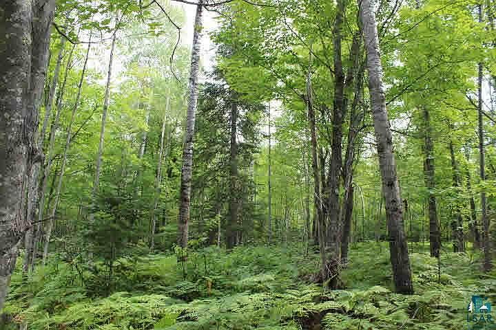 2nd image of Lot 1 Eagles Ridge Rd