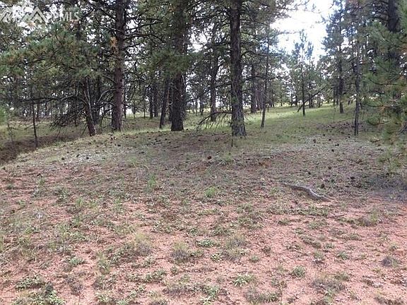 3rd image of 786 Black Mesa Cir