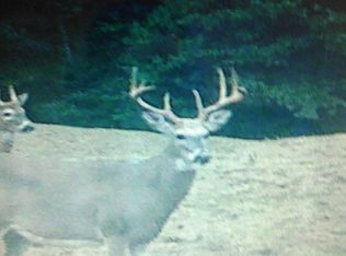 7598 E Seventeen Mile Rd, Reed City, MI 49677