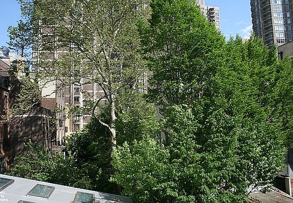4th image of 853 Lexington Ave #4B