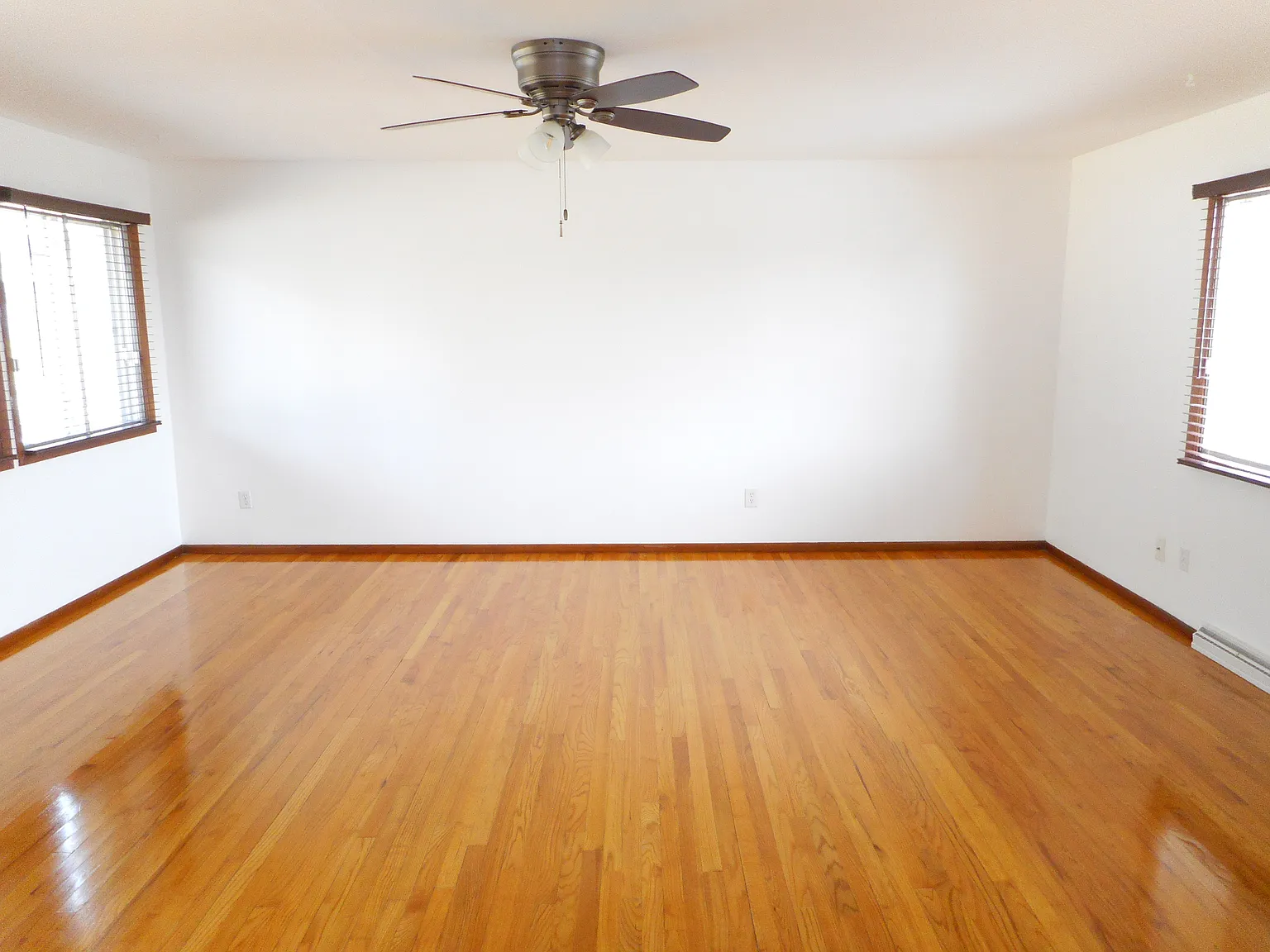 1617 Reetz Rd — Photo 4