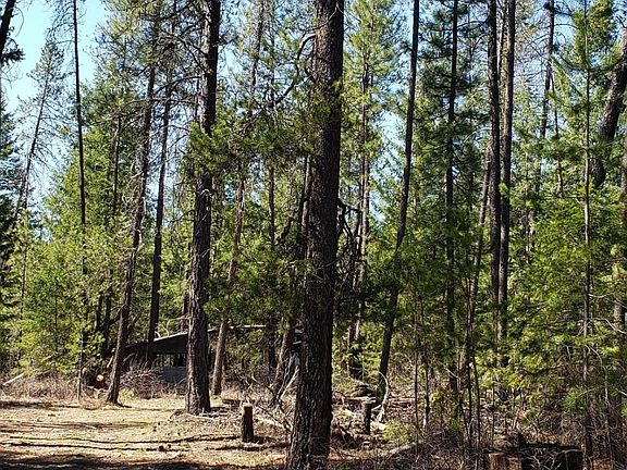 2nd image of 3356 Blanchard Cutoff