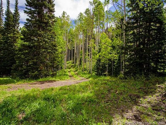 5th image of 235 White Pine Canyon Rd #235