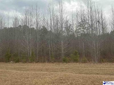 Chance Ln, Salters, SC, 29590