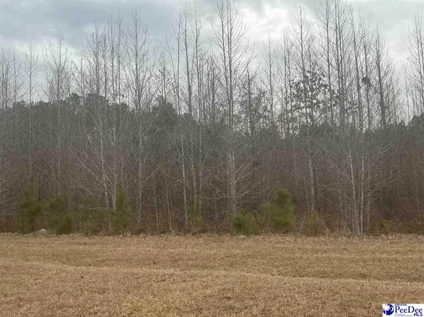 Chance Ln, Salters, SC 29590