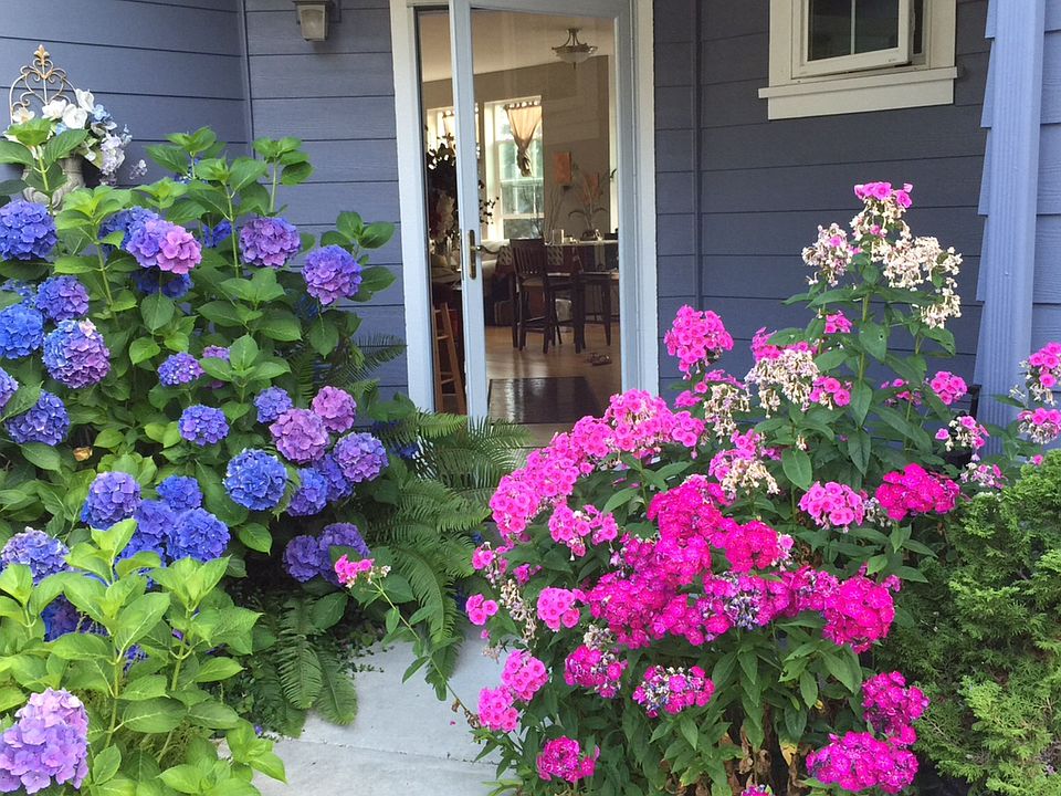 Garden flowers welcome you